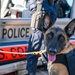 MSST K9 Hoist