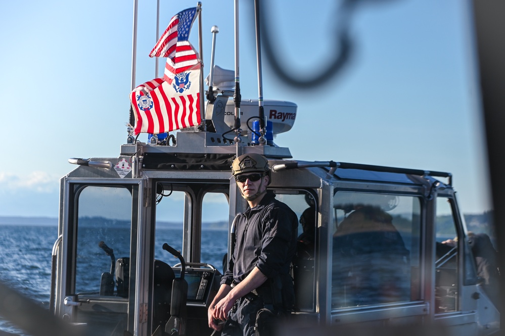 MSST K9 Hoist