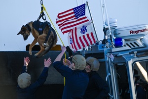 Coast Guard, partner agencies respond to ferry crash off Clearwater bridge