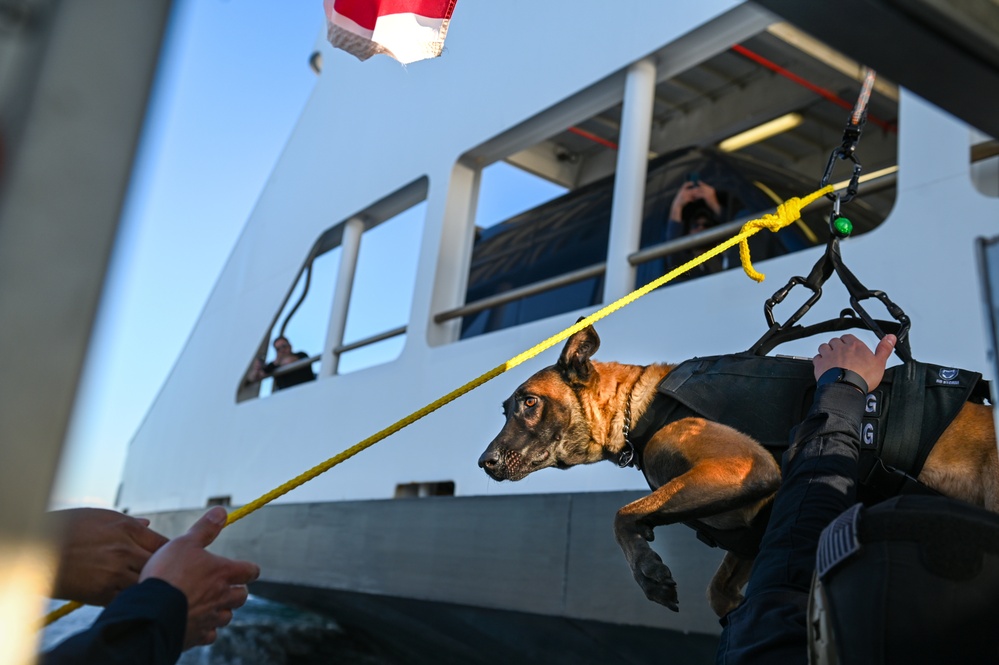 MSST K9 Hoist