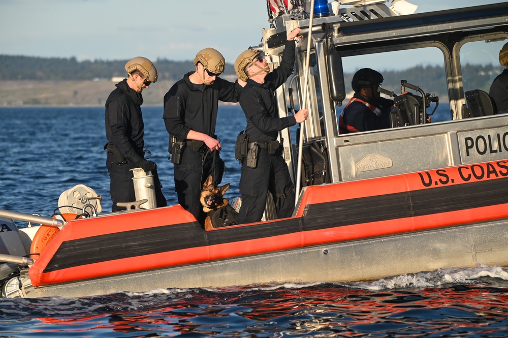 MSST K9 Hoist