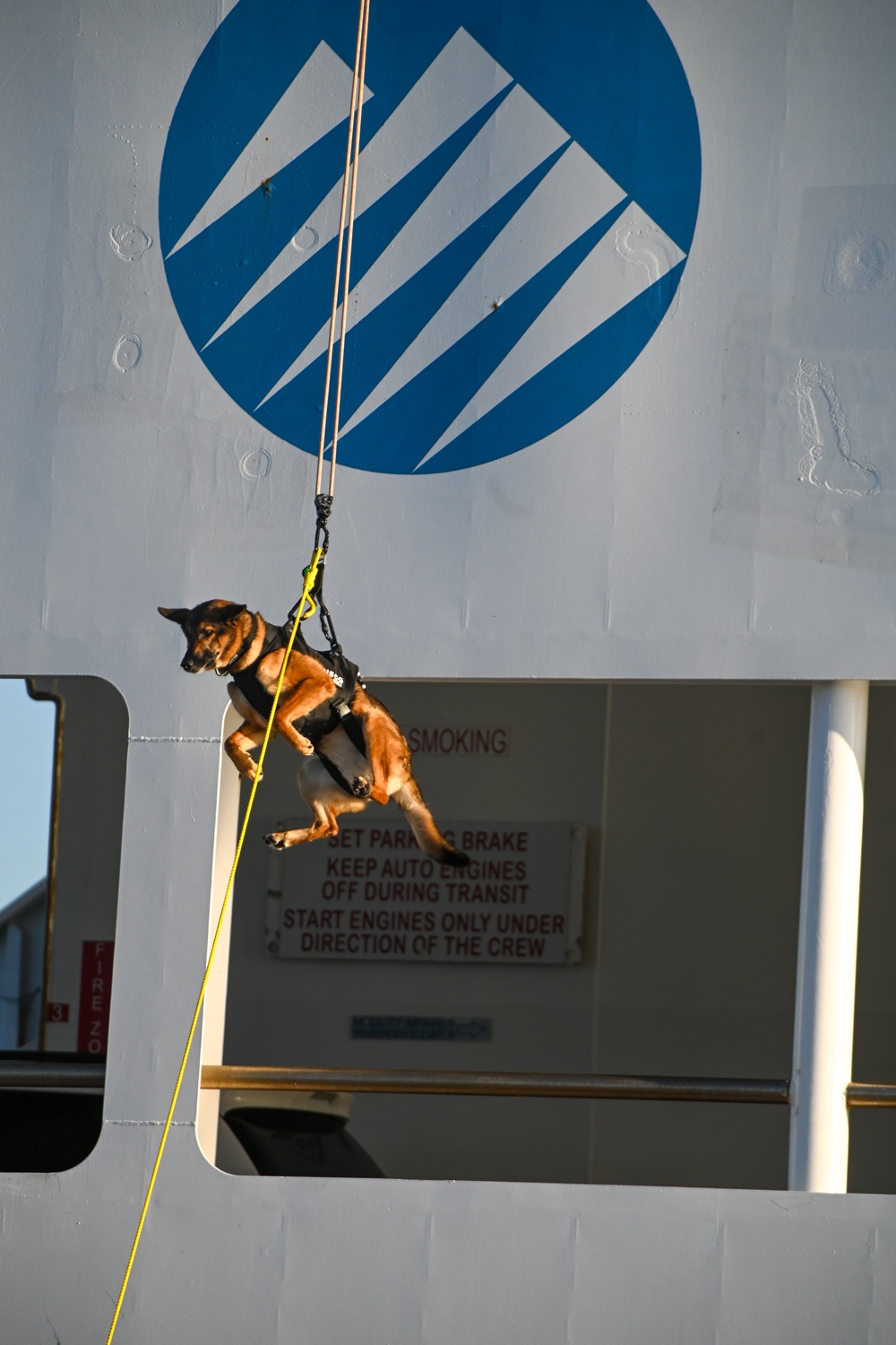 MSST K9 Hoist