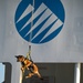MSST K9 Hoist