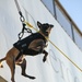 MSST K9 Hoist