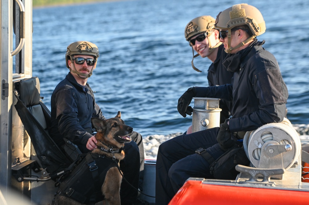 MSST K9 Hoist