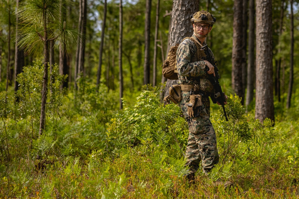 2d Battalion, 6th Marine Regiment Participates in TSULC: Patrolling