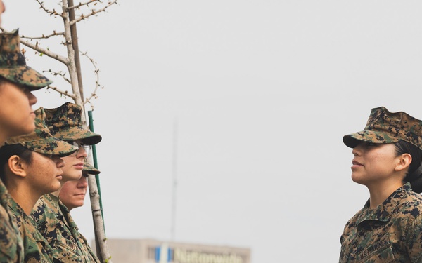 Reenlistment Ceremony