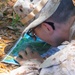 Hotel Company Land Navigation