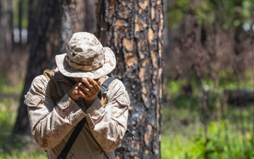 Hotel Company Land Navigation
