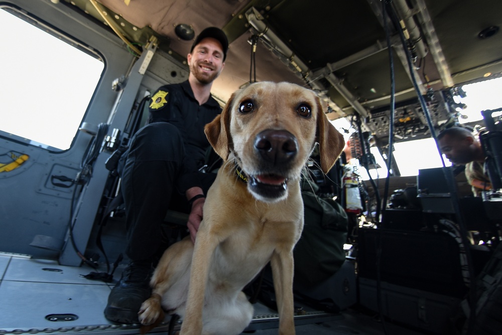 South Carolina Army National Guard aviation unit conducts K9 medical training with Richland County Sheriff Department