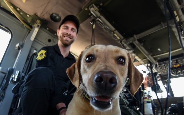 South Carolina Army National Guard aviation unit conducts K9 medical training with Richland County Sheriff Department