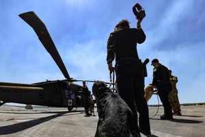 K9 Veterans Day- Radio