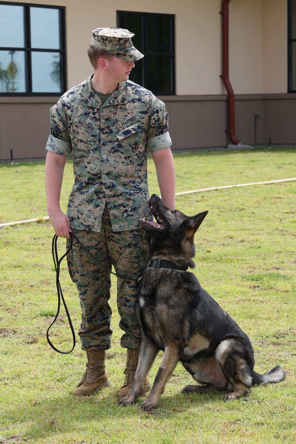 DVIDS – News – New M Army Veterinary Center Enhances Pet Care in Pacific