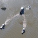 Unified Command continues response to release near Garden Island Bay, LA