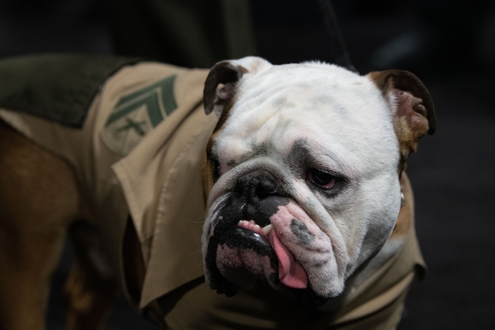 Modern Day Marine 2025 - Closing Ceremony
