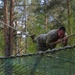 56th SBCT navigates obstacle course