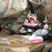 Casualty evacuation training provides continuous learning between partner nations