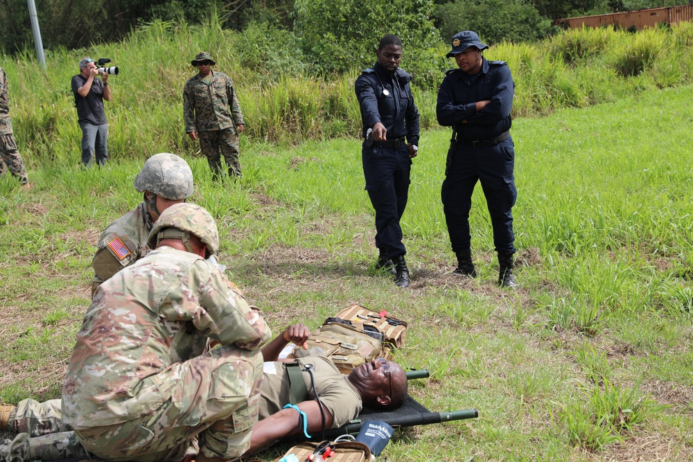Casualty evacuation training provides continuous learning between partner nations