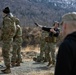 The AKARNG's 207th Multi-Functional Training Regiment conducts Infantry Advanced Leader Course