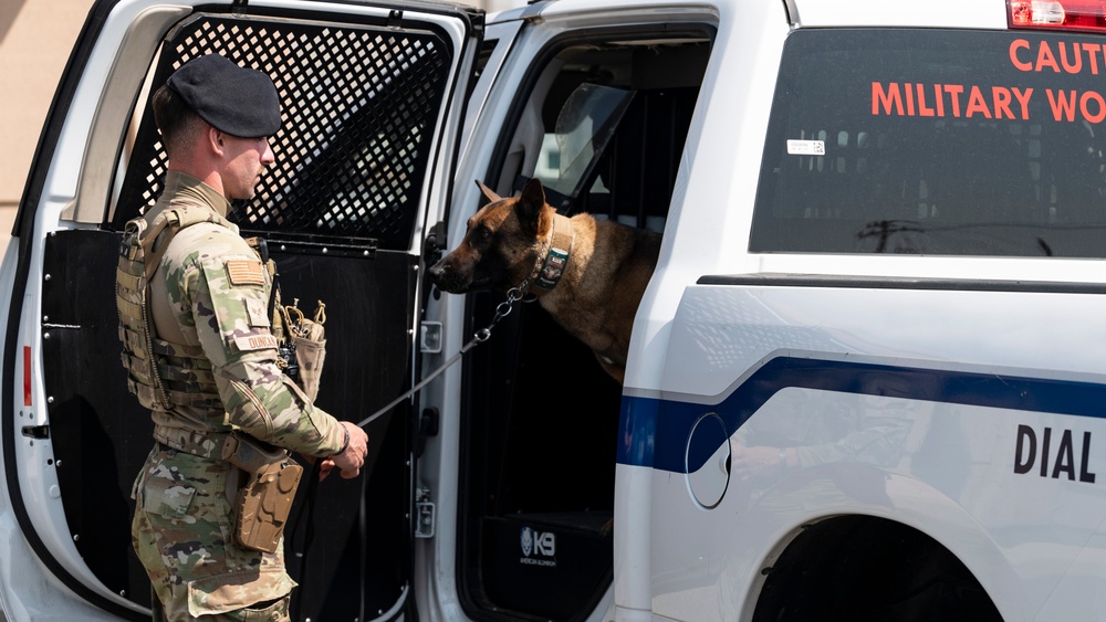 Tactical Paws: 51st SFS Conducts Bite Training