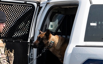 Tactical Paws: 51st SFS Conducts Bite Training
