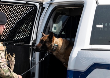 Tactical Paws: 51st SFS Conducts Bite Training