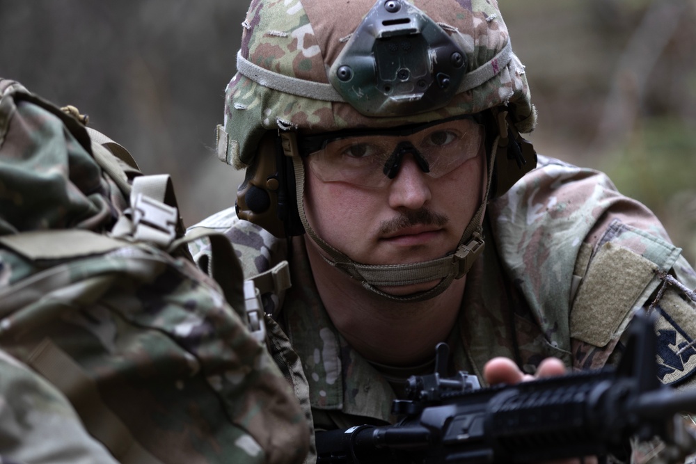 The AKARNG's 207th Multi-Functional Training Regiment conducts Infantry Advanced Leader Course