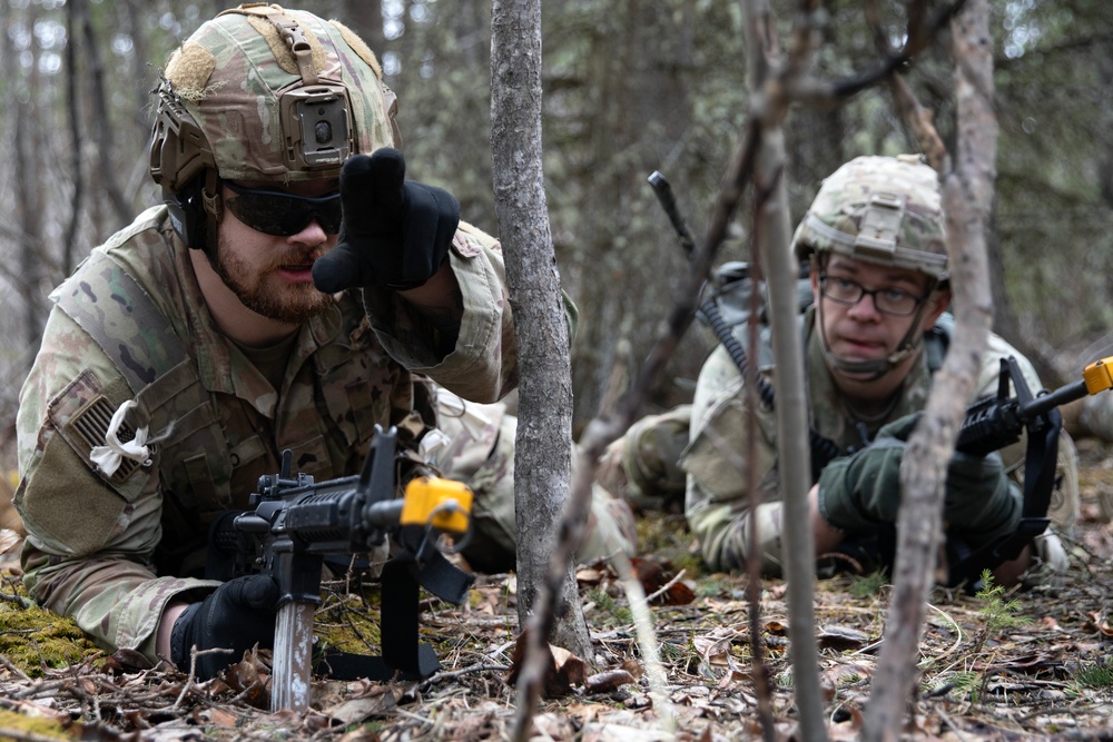 The AKARNG's 207th Multi-Functional Training Regiment conducts Infantry Advanced Leader Course