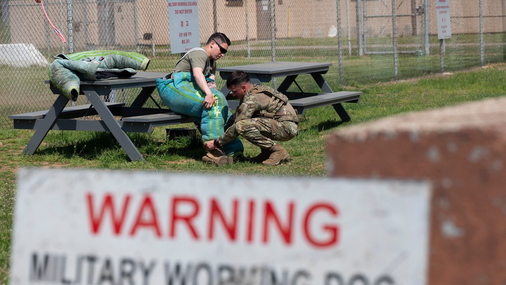 Tactical Paws: 51st SFS Conducts Bite Training