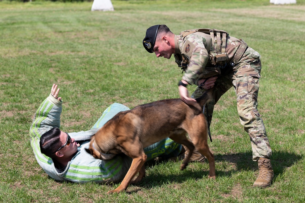 Tactical Paws: 51st SFS Conducts Bite Training