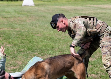 Tactical Paws: 51st SFS Conducts Bite Training