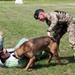 Tactical Paws: 51st SFS Conducts Bite Training