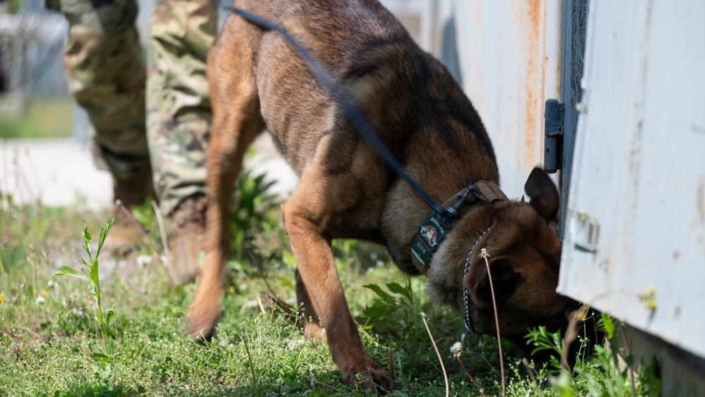 Tactical Paws: 51st SFS Conducts Bite Training