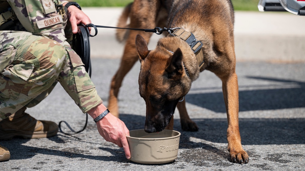 51st SFS Conducts Bite Training