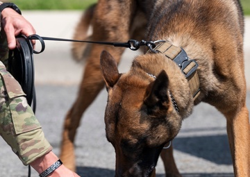 51st SFS Conducts Bite Training