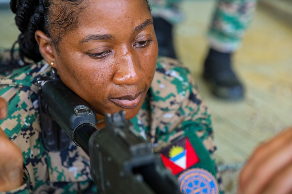 U.S. Marines and Partner Nation Forces cross-train on marksmanship for an integrated weapons strategy
