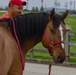 1ID CGMCG Explores Churchill Downs