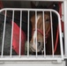 1ID CGMCG Explores Churchill Downs