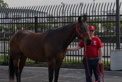 1ID CGMCG Explores Churchill Downs [Image 19 of 28]