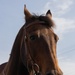 1ID CGMCG Explores Churchill Downs