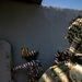 Balikatan 2025: Philippines, U.S. Naval Special Warfare conduct static range and close quarter combat training