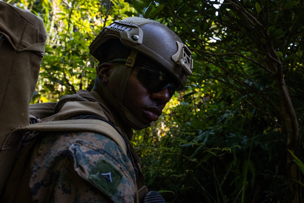 31st MEU conducts TRAP during MEUEX