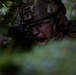 31st MEU conducts TRAP during MEUEX