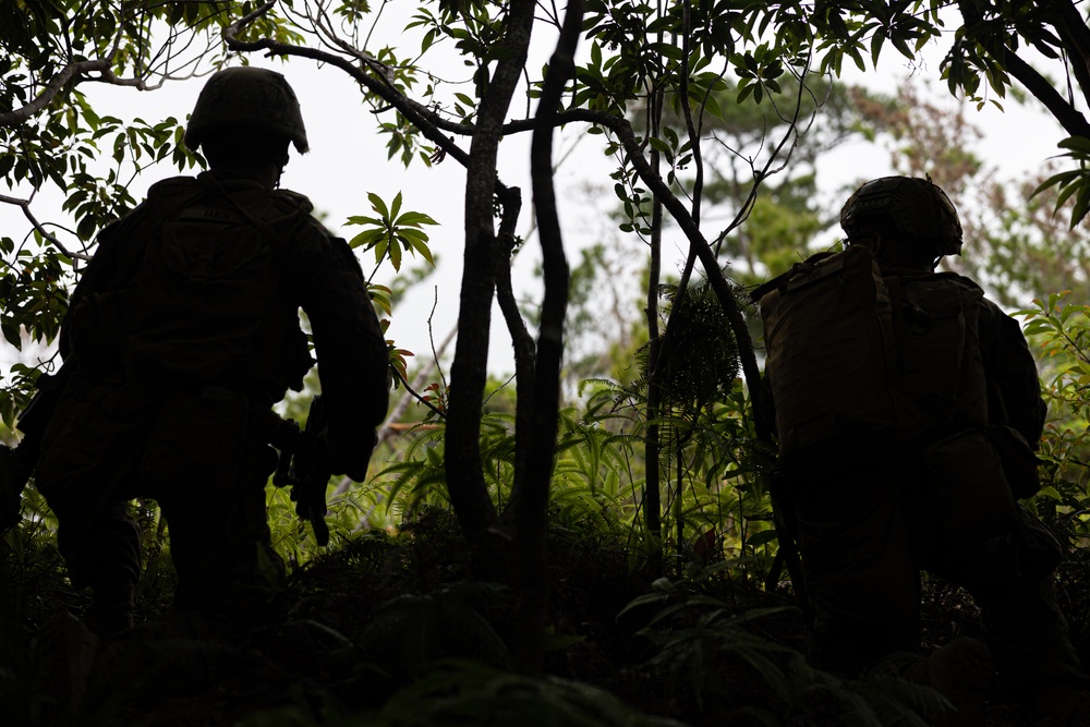 31st MEU conducts TRAP during MEUEX