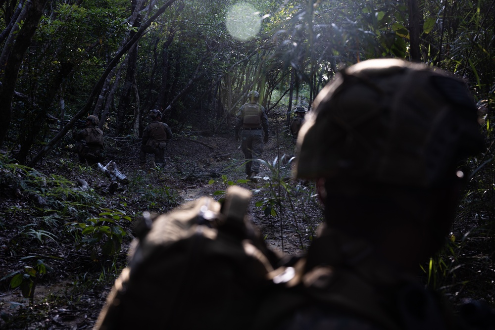 31st MEU conducts TRAP during MEUEX