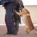 Dawg vs Dog