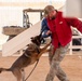 Dawg vs Dog