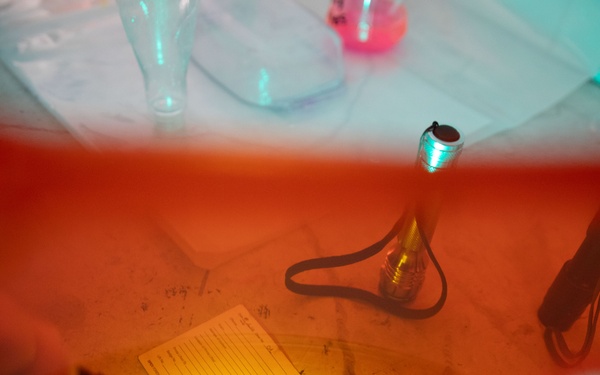 U.S., Tunisia conduct forensic training at African Lion 2025