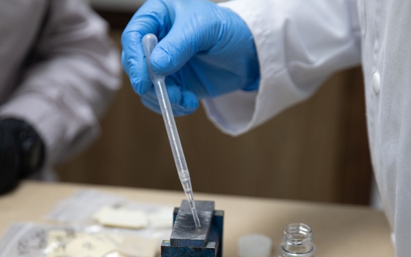 US, Tunisia conduct forensic training at African Lion 2025