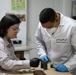 US, Tunisia conduct forensic training at African Lion 2025